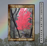 Ashes of Love Flipbook